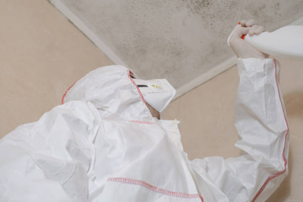 Best Industrial Mold Remediation in Carthage, IL