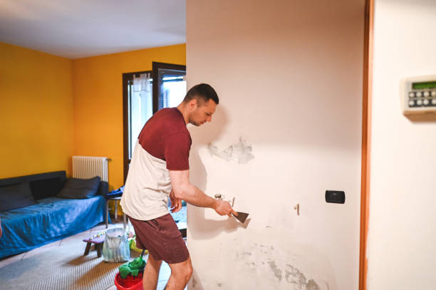 Best Commercial Mold Remediation in Carthage, IL